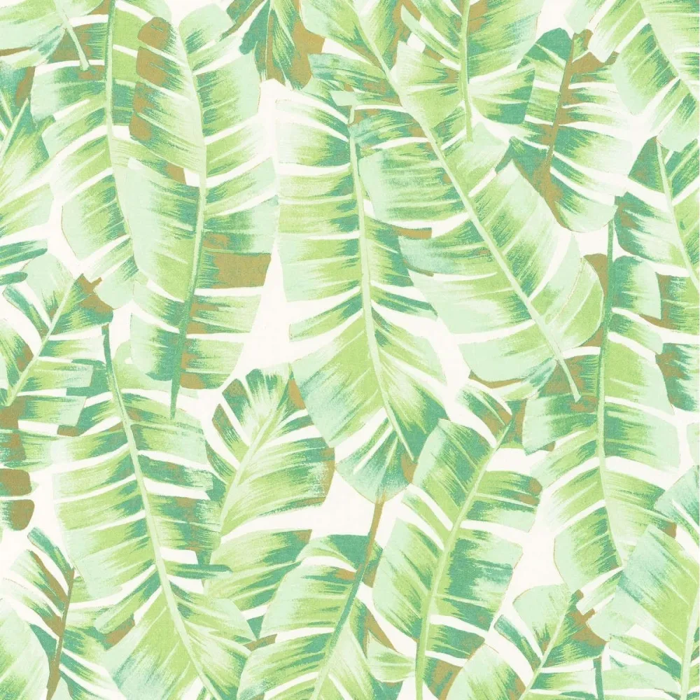 Botanica Folium Vert Feuille Bota85947340 Tapet